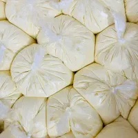 کره گاوی