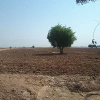 ۲۷ هکتار زمین بارانی