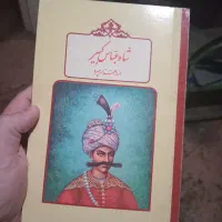 شاه عباس کبیر ، مرد هزار چهره