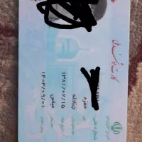 مدارک گمشده