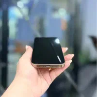 ۱۲ پرو مکس