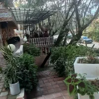 نگهداری از۳عدد اسب در هتل