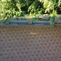 ۹۱مترفول،ساختمان مخصوص(خانواده بدون اهل دودوحیوان)