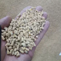 دان مرغ گوشتی