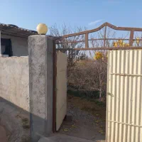 باغ-اناری-ساوه