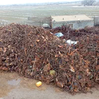 خریدار چوب وریشه|خدمات باغبانی و درختکاری|میاندوآب, |دیوار