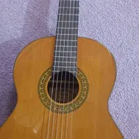 gitar chard