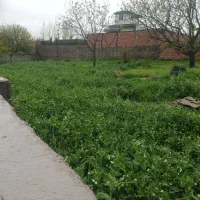 327زمین درروستای مهدیرجه