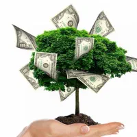 نیازمند سرمایه گذار در آموزشگاه