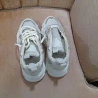 ی جفت کفش|کیف، کفش، کمربند|مراغه, |دیوار