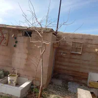 فروش-باغچه-در-دهنو