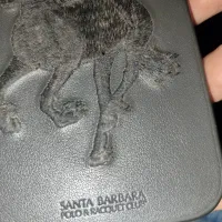 قاب پولو ۱۳ پرومکس|لوازم جانبی موبایل و تبلت|کرج, شهرک ولیعصر|دیوار