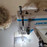 چرخکار با حقوق ثابت پایه ۲۰ میلیون به بالا