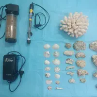 لوازم آکواریوم