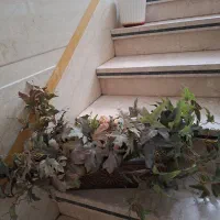 دوعدد دسته برگ خارجی ب همراه کلدون|گل مصنوعی|تهران, دهقان|دیوار