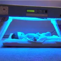 اجاره وپخش انواع دستگاه زردی نوزاد