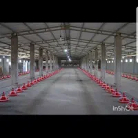 فروش مرغداری نکا|فروش دفتر صنعتی، کشاورزی، تجاری|نکا, |دیوار