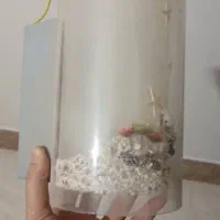 چراغ خواب طرح دریا