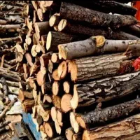 خ ر ی د  چوب و درخت
