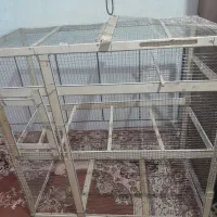 قفص|لوازم جانبی حیوانات|امیدیه, |دیوار