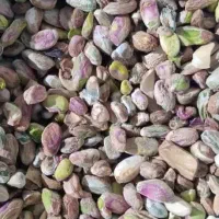 خریدار پسته پوک روابی گو