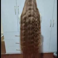 کوتاهی مو در سالن و منزل
