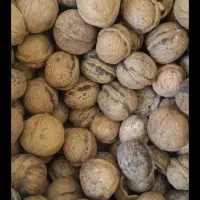 گردو کاغذی سفید