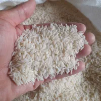 برنج طارم هاشمی