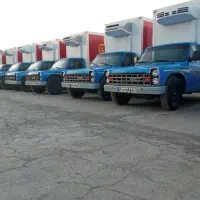 راننده توزیع مویرگی