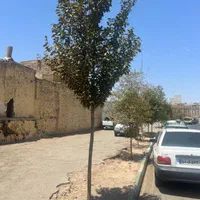 ۲۱۷مترزمین کلنگی اماده ساخت دوکله قم شاه ابراهیم|فروش زمین و ملک کلنگی|قم, شاه ابراهیم|دیوار