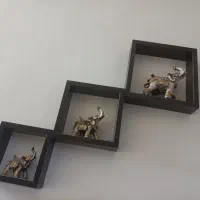 باکس.. و فیل پلی استر اکلیلی