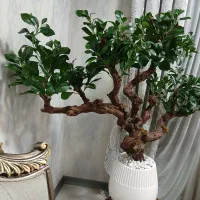 درختچه بونسای مصنوعی|گل مصنوعی|شهریار, رضی آباد بالا|دیوار