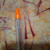 خشک کنی زعفران دکتر بهزاد جهانشیری