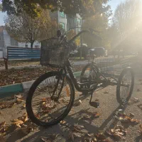 سه چرخه دنده ای در حد|دوچرخه، اسکیت، اسکوتر|مشهد, مقدم|دیوار