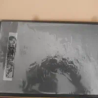 قلم نوری تازه