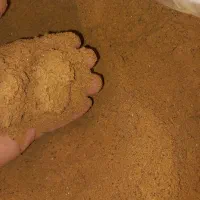 سماق قهوه ای تبریز
