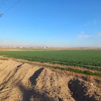 زمین کشاورزی سند ششدانگ|فروش زمین و ملک کلنگی|شریفآباد, |دیوار