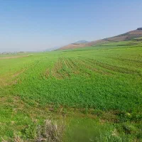 زمین-کشاورزی-به-مساحت-1000-متر-فروشی