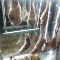 قصابی امیر نبش اندیشه 8