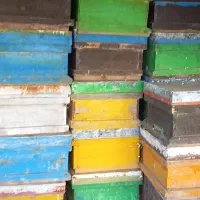 فروش کندو عسل