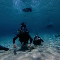 غواصی در دریای کیش