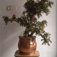 گلان مسی و گل برگ مصنوعی