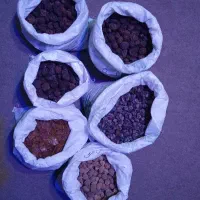 ۷۰ کیلو میوه خشک شده.  ( ۶ تومن )