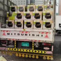 سرخ کن فیلیپس 9270 اصلی سه شاخ|اجاق گاز و لوازم برقی پختوپز|مشهد, سلام|دیوار