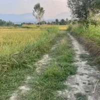 7500-متر-زمین-کشاورزی