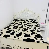 تخت و بغل تختی بدون تشک و چوب زیر تشک