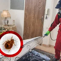 جذب نیرو جهت سمپاشی ( آقا و خانم ) پاره وقت