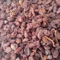 کارگاه تولید و بسته بندی کشمش|خوردنی و آشامیدنی|ملکان, |دیوار