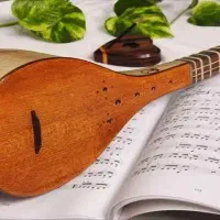 آموزش تخصصی تار و سه تار در آموزشگاه موسیقی|خدمات آموزشی|اراک, |دیوار
