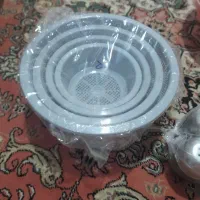 پلاستیکی|ظروف نگهدارنده، پلاستیکی، یک‌بارمصرف|قزوین, |دیوار